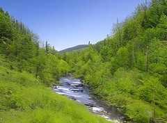 迷失蔚蓝：荒岛寻水指南