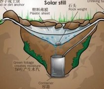 迷失蔚蓝：荒岛寻水指南