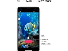 苹果停止支持视频应用Clips并下架App Store
