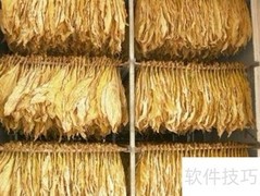 烟叶烘干经验与设备选择