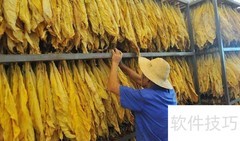 烟叶烘烤关键技术解析