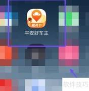 平安好车主查财产险指南