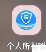 个税APP如何查委托代理