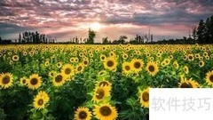 有限责任公司设立条件