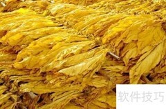 土烟叶处理技巧：提升口感