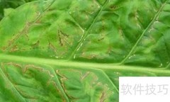 烟叶花叶病防治方法