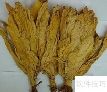 土烟叶处理技巧：提升口感