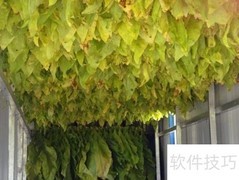 烟叶烘干技术与设备选择