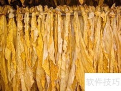 烟叶烘干技术与设备选择