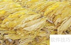 烟叶税CPA学习要点