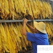 烟叶烘干关键技术解析