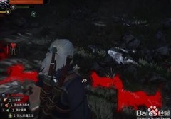 巫师3森林之心任务攻略