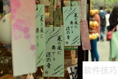 文艺女青年的追梦日记