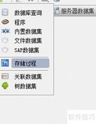 Java报表中存储过程设置