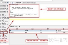Java报表中存储过程设置