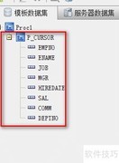 Java报表中存储过程设置