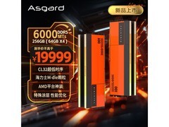 阿斯加特256GB内存条钜惠