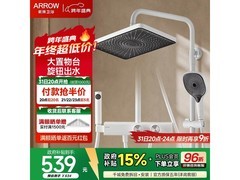 箭牌四功能花洒套装今晚京东5折开抢