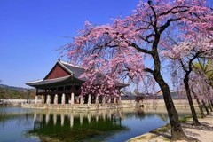 韩国十年签证新政落地，众信旅游上线“无购物”高品质纯玩团