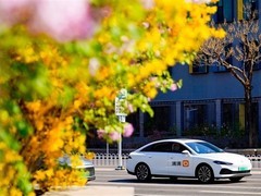 滴滴发布清明出行预测：AI打车升温、枢纽订单增239%、多地推赏花优惠