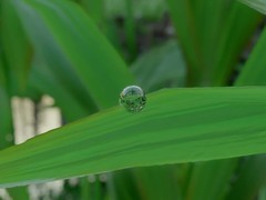 红色沙漠水珠反射惊艳玩家，八年打磨引热议