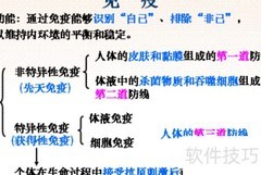 免疫系统衰老机制解析