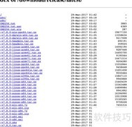 Postman Newman插件安装指南