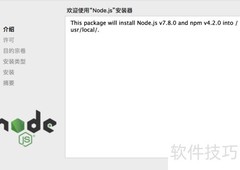 Postman Newman插件安装指南