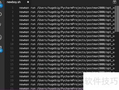 Newman批处理快速入门