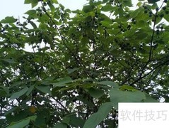 抹灰工程要点解析