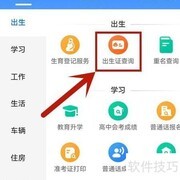 出生证查询方法指南