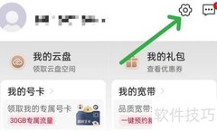 中国联通协议条款查询指南