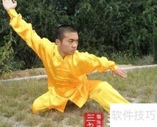 陈式太极搏击技巧解析