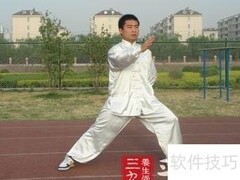 陈式太极75式灵动谱