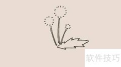 飘落的蒲公英绘画教程