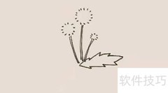 蒲公英简笔画教程