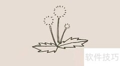 蒲公英简笔画教程