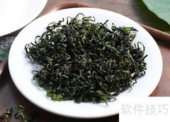 蒲公英养生功效与使用方法