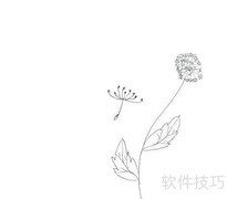 蒲公英简笔画轻松学