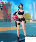 岚天赋加点全攻略