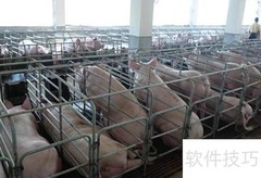 猪场高效服务指南