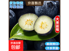 国产云南超大蓝莓4盒装，原价21.9元，券后16.9元！