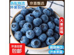 国产云南蓝莓4盒装，单果15mm以上，仅14.8元！