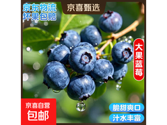 国产云南蓝莓4盒装，单果15mm以上，仅14.9元！