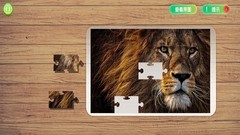 收集游戏哪些好玩 好玩的收集游戏排行榜