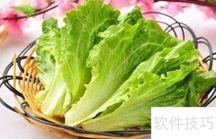 蔬菜储存小妙招