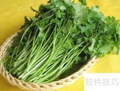 蔬菜储存小妙招