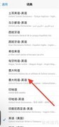 iPhone添加意大利语英语词典