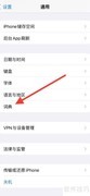 iPhone添加荷兰语英语词典