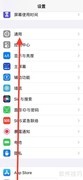 iPhone添加波兰语英语词典